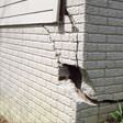 foundation walls cracked due to settlement in Milwaukee