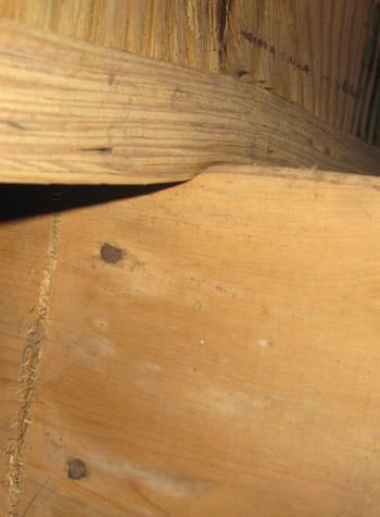 severe damage to a crawl space structure in a Beloit home