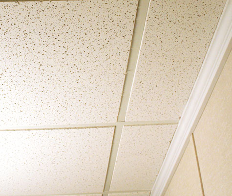 Basement Drop Ceiling Tiles Basement Ceiling Finishing