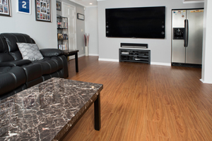Basement Finishing Cost