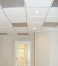 Basement Ceiling Tiles for a project we worked on in West Allis, Wisconsin & Illinois