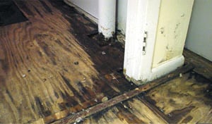 Basement Wood Floor Rotting and Mold Growth