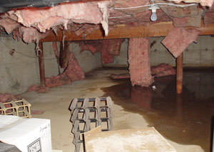 fiberglass insulation dripping off the ceiling of a crawl space in Beloit.