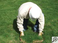 Restoring the landscaping by replacing removed sod on the ground for a La Crosse home.