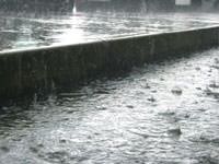 Heavy rains in a downpour in Belvidere.
