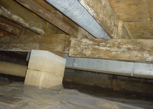 rotting crawl space supports