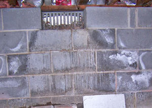 Open crawl space vents allowing in humidity and water in Belvidere