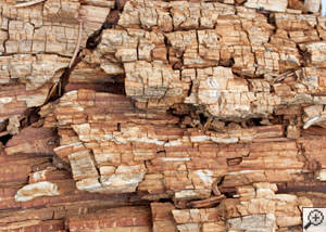 Dry rot damage on wood in Watertown