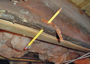 Destroyed crawl space structural wood in Fitchburg