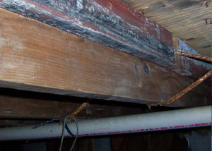 Rotting, decaying wood from mold damage in Brown Deer