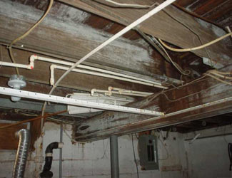 a humid basement overgrown with mold and rot in Beloit